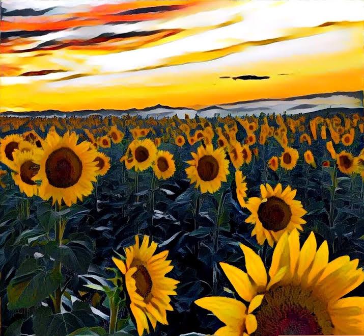 "There was the gaudy patch of sunflowers beside the west gate of the palace of the Prince of Ombria, that did nothing all day long but turn their golden-haired, thousand-eyed faces to follow the sun."--- Patricia A. McKillip